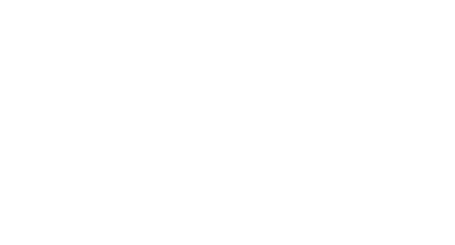 Data Nexus